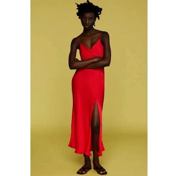 Zara Midi Dress - Picture 4 of 12